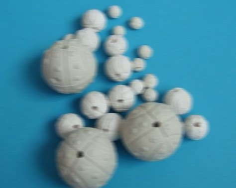 环孔保护剂